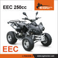 Zertifizierung der EEC 250cc Quad Atv